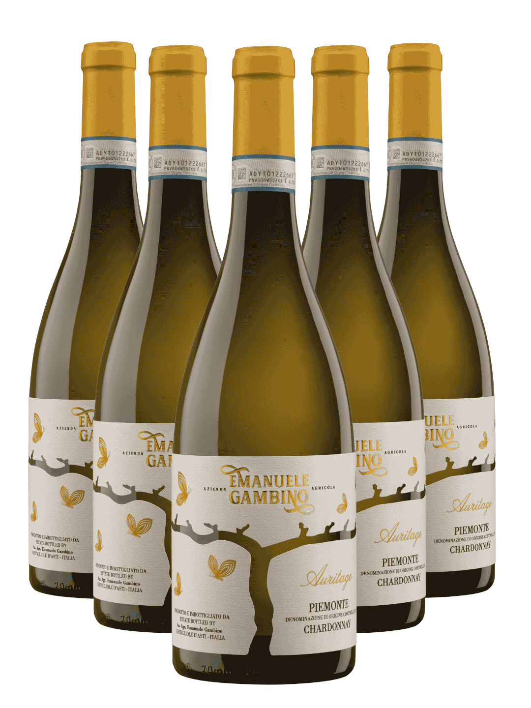 Box 6 AURITAGE Piemonte D.O.C. Chardonnay