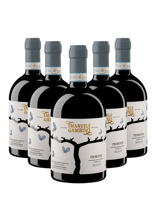 Box 6 PIEMONTE MERLOT