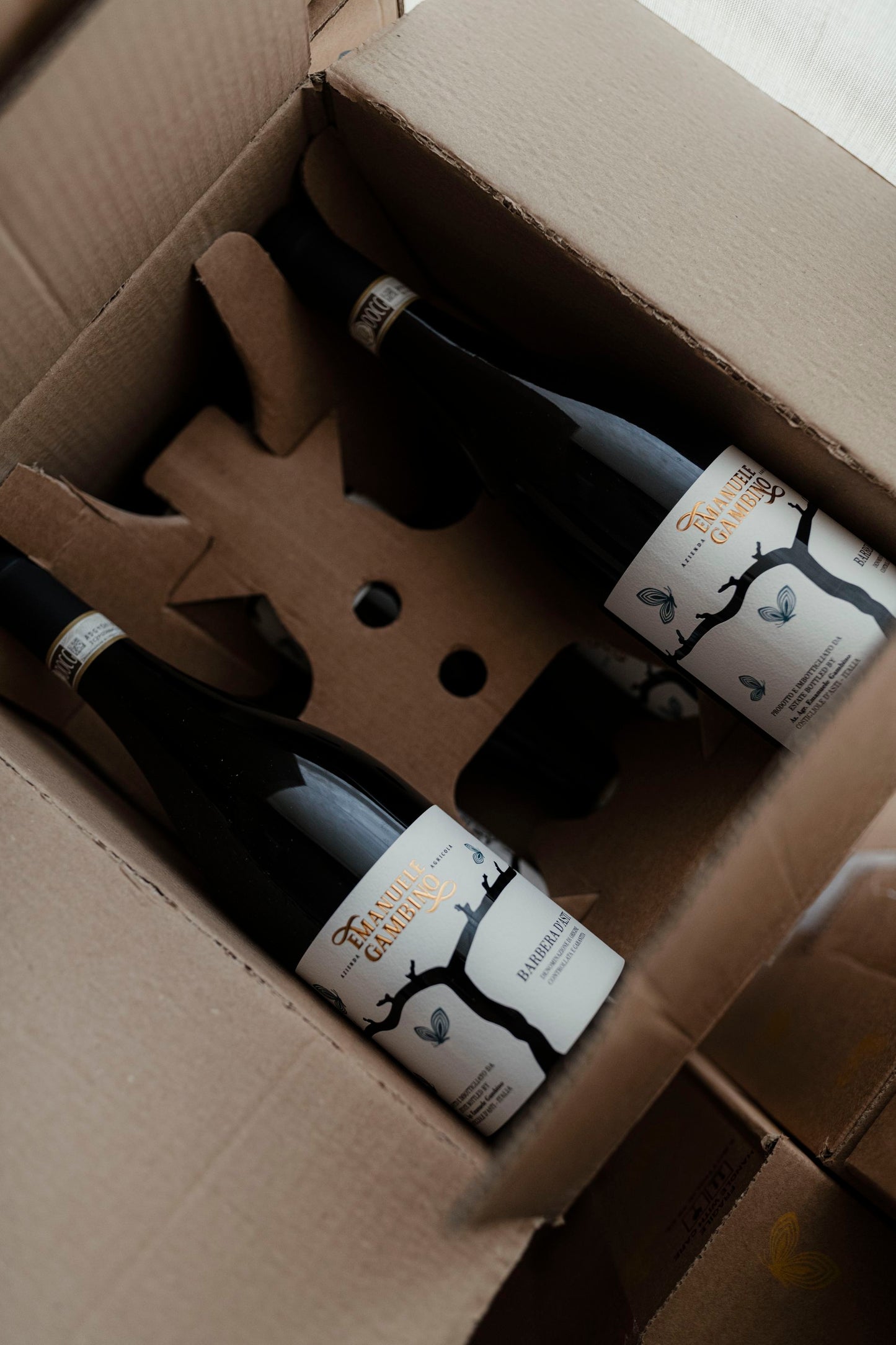 Box 6 PIEMONTE SAUVIGNON