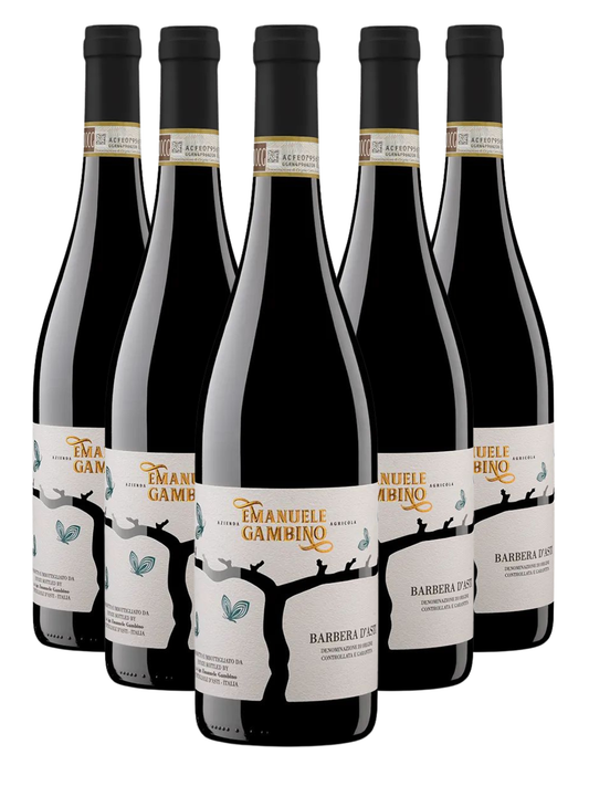 Box 6 BARBERA D'ASTI