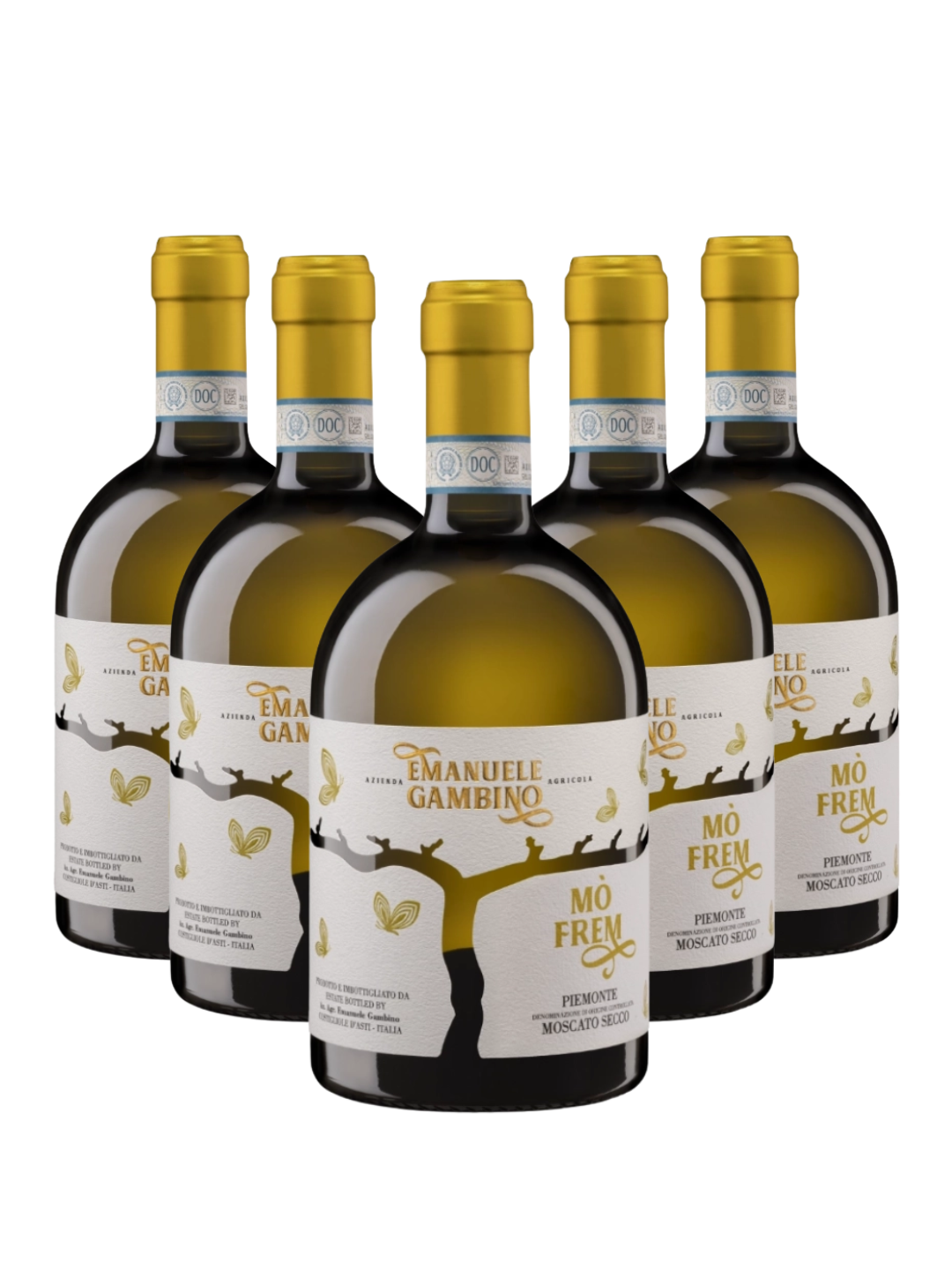 Box 6 MÒ FREM - Piemonte D.O.C. Moscato Secco