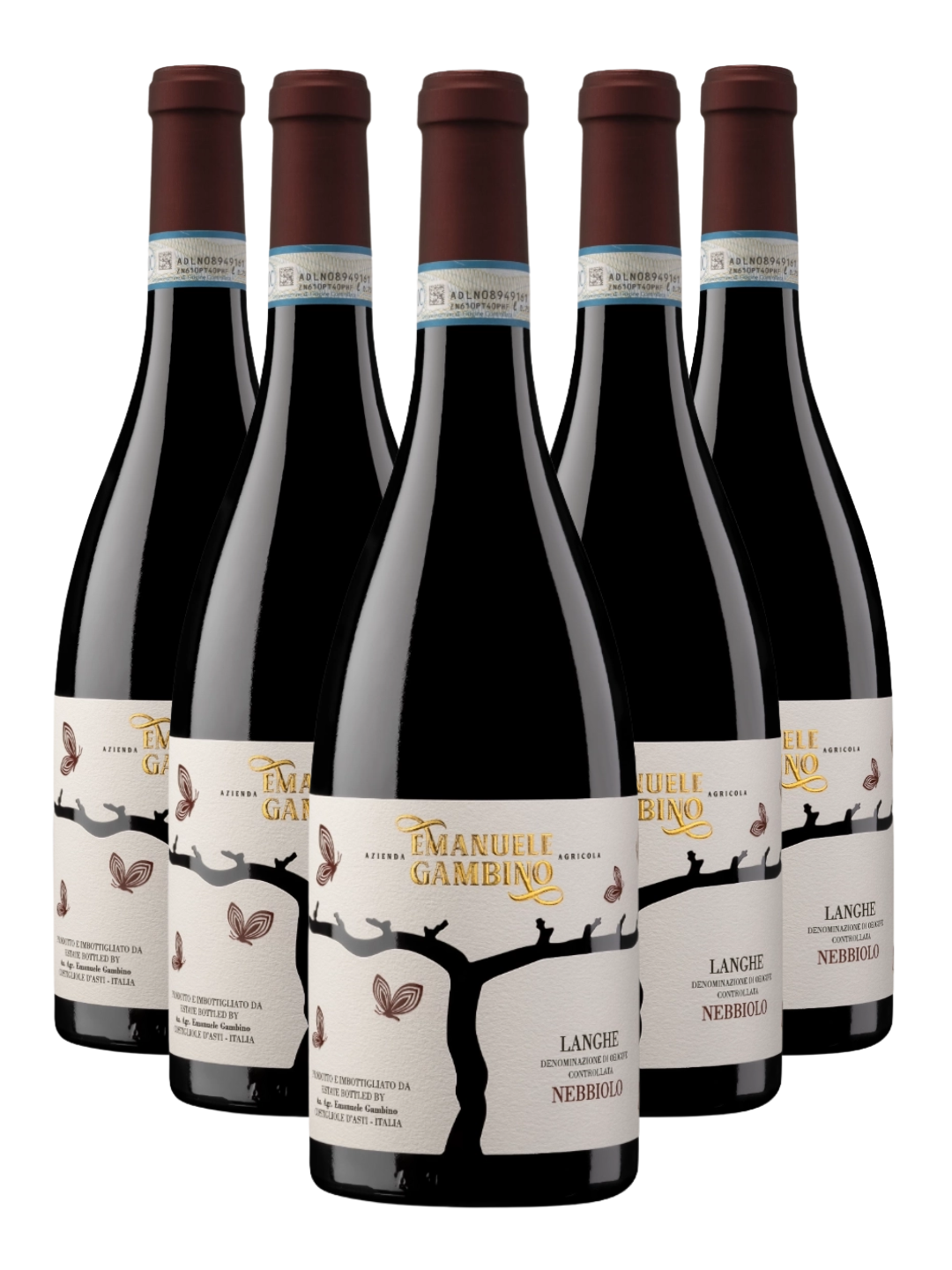 Box 6 LANGHE NEBBIOLO