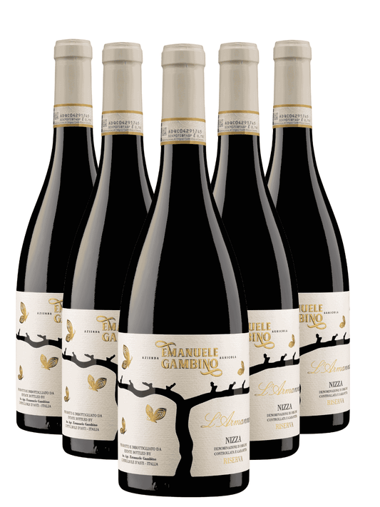 Box 6 ARMANNA Nizza D.O.C.G. Riserva