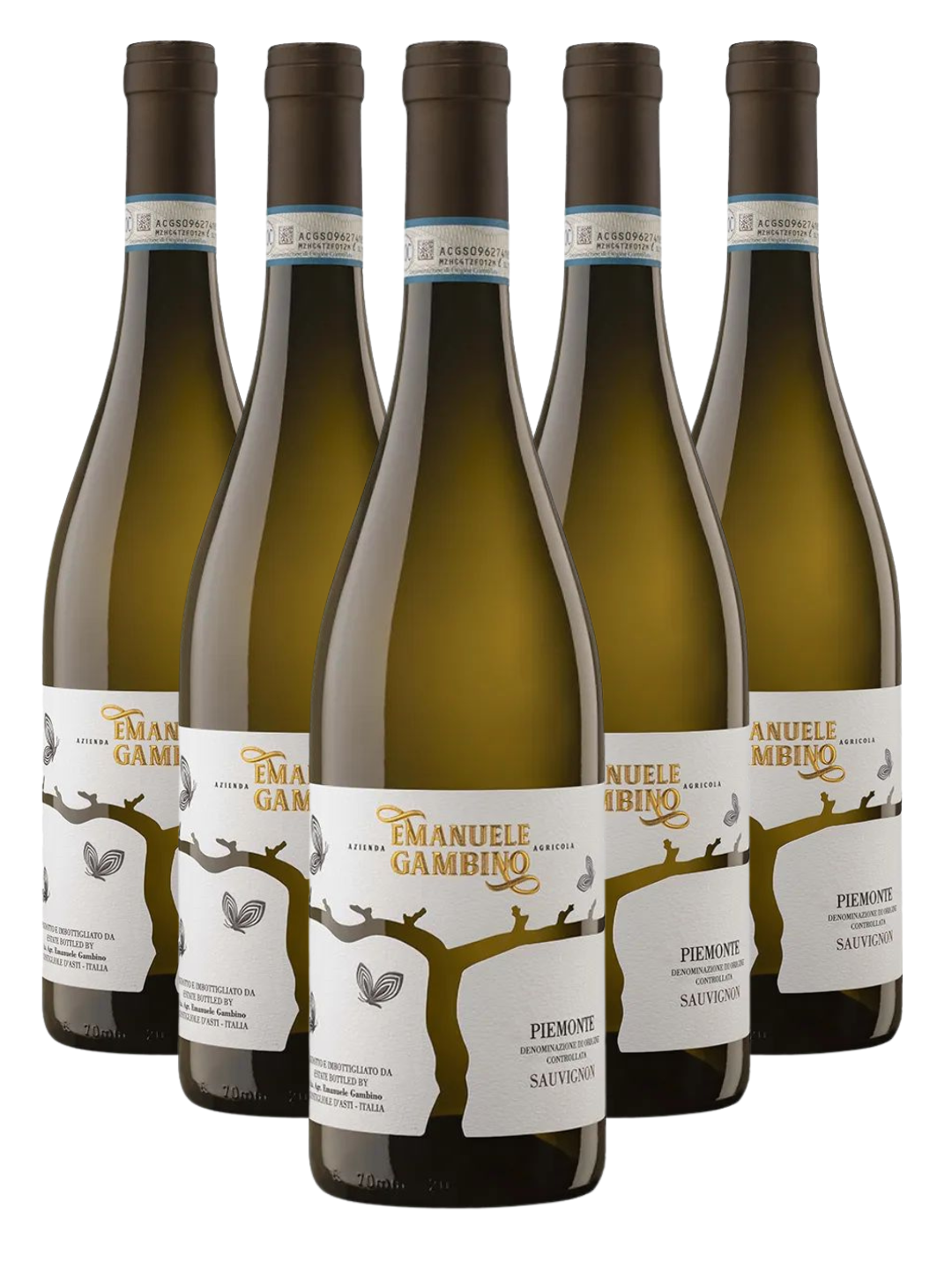 Box 6 PIEMONTE SAUVIGNON